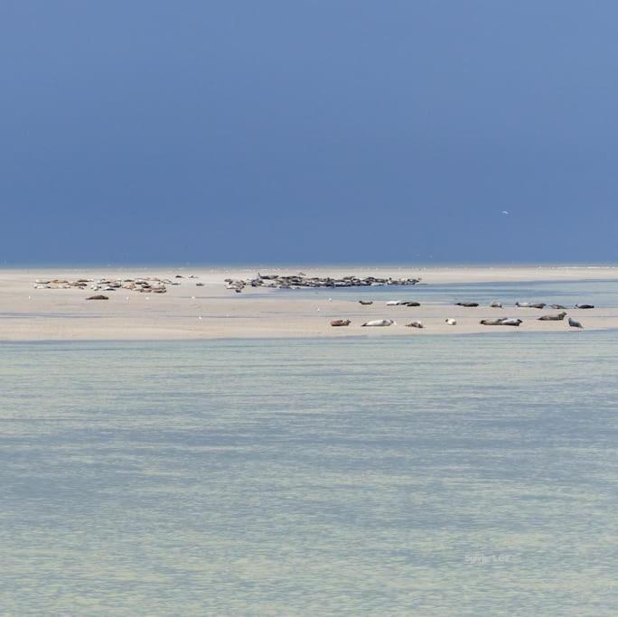 Vue Mer Berck Luaran gambar