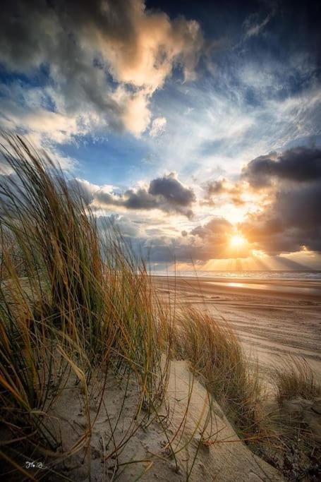 Vue Mer Berck Luaran gambar